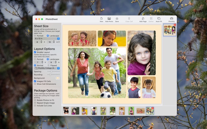 photosheet software photosheet software